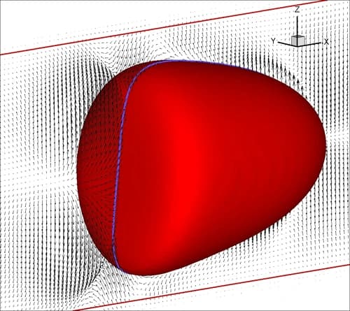 Multiphase Flows