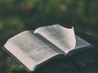 Book Chapters